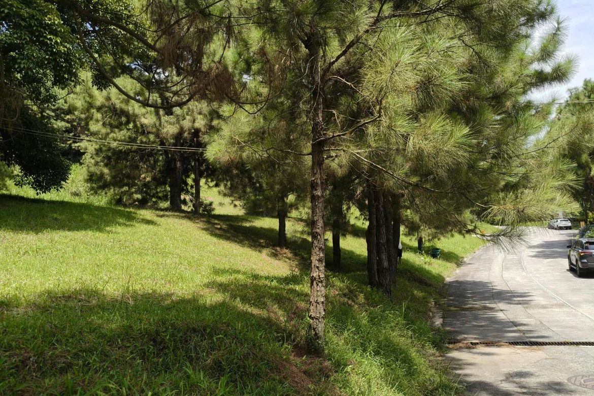 Land for Sale in Iruhin South, Tagaytay, Cavite – photo 5