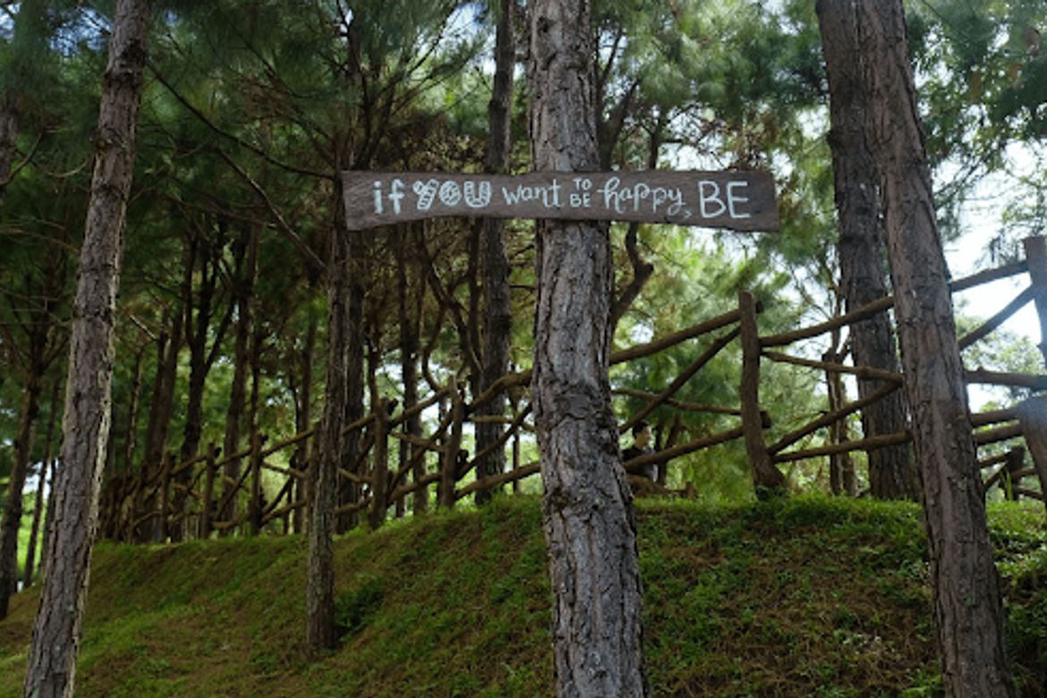 Land for Sale in Iruhin South, Tagaytay, Cavite – photo 2