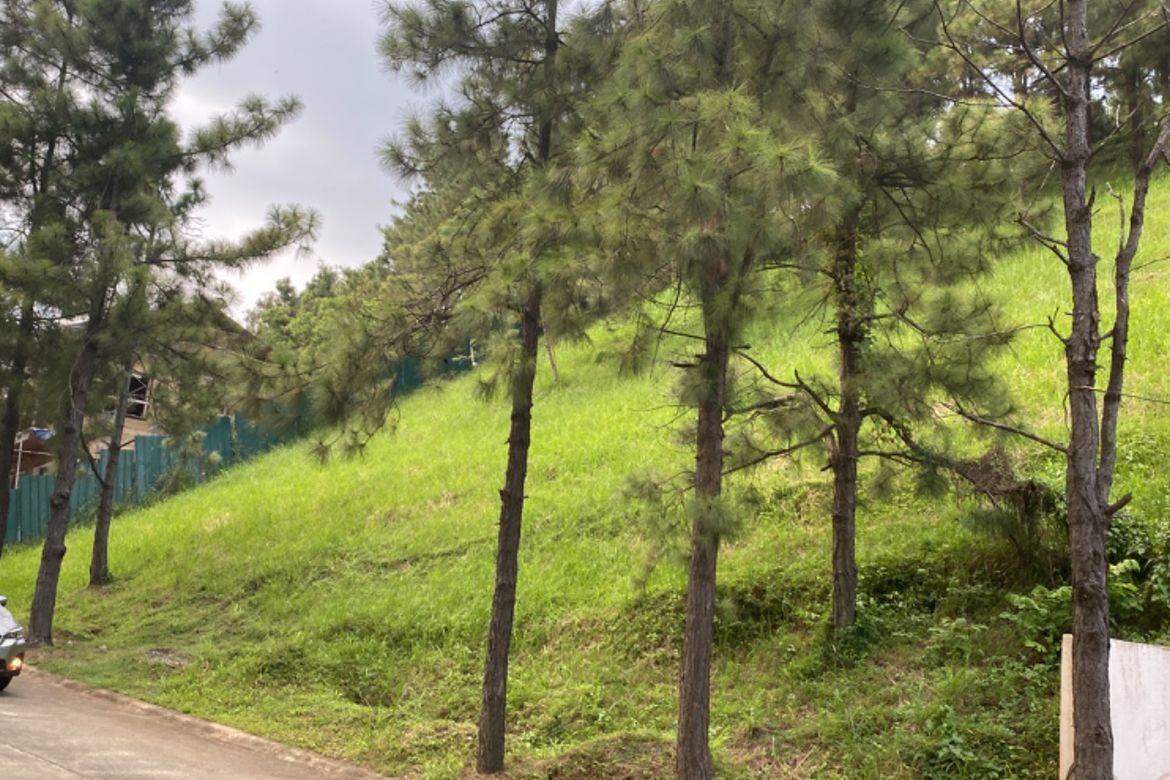 Land for Sale in Iruhin South, Tagaytay, Cavite