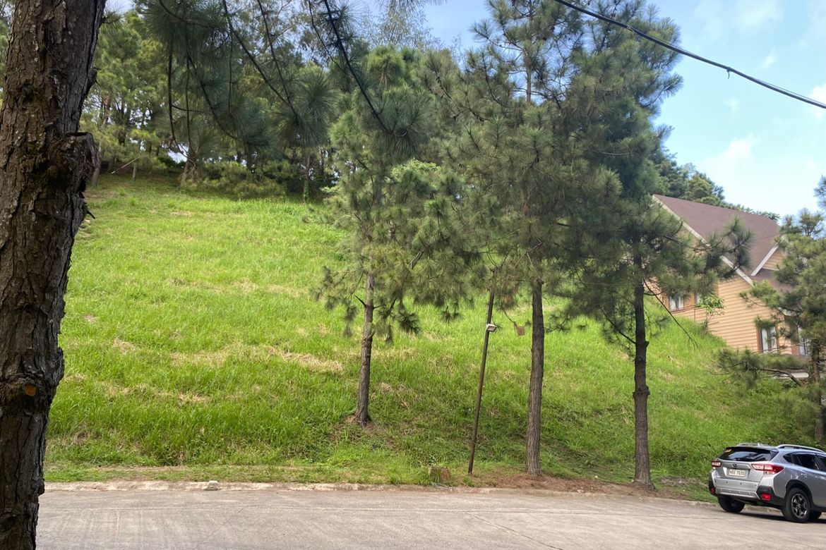 Land for Sale in Iruhin South, Tagaytay, Cavite – photo 4