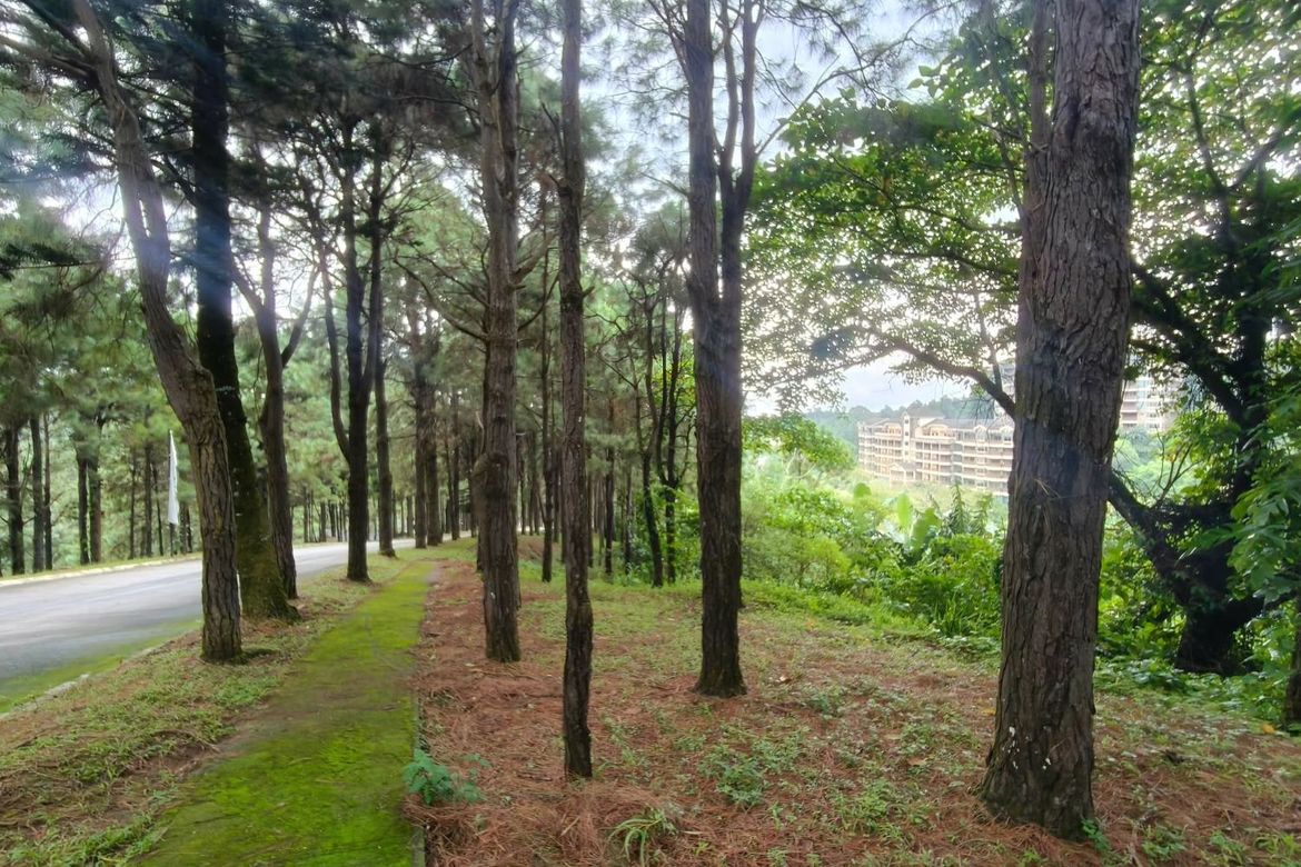 Land for Sale in Iruhin South, Tagaytay, Cavite – photo 2