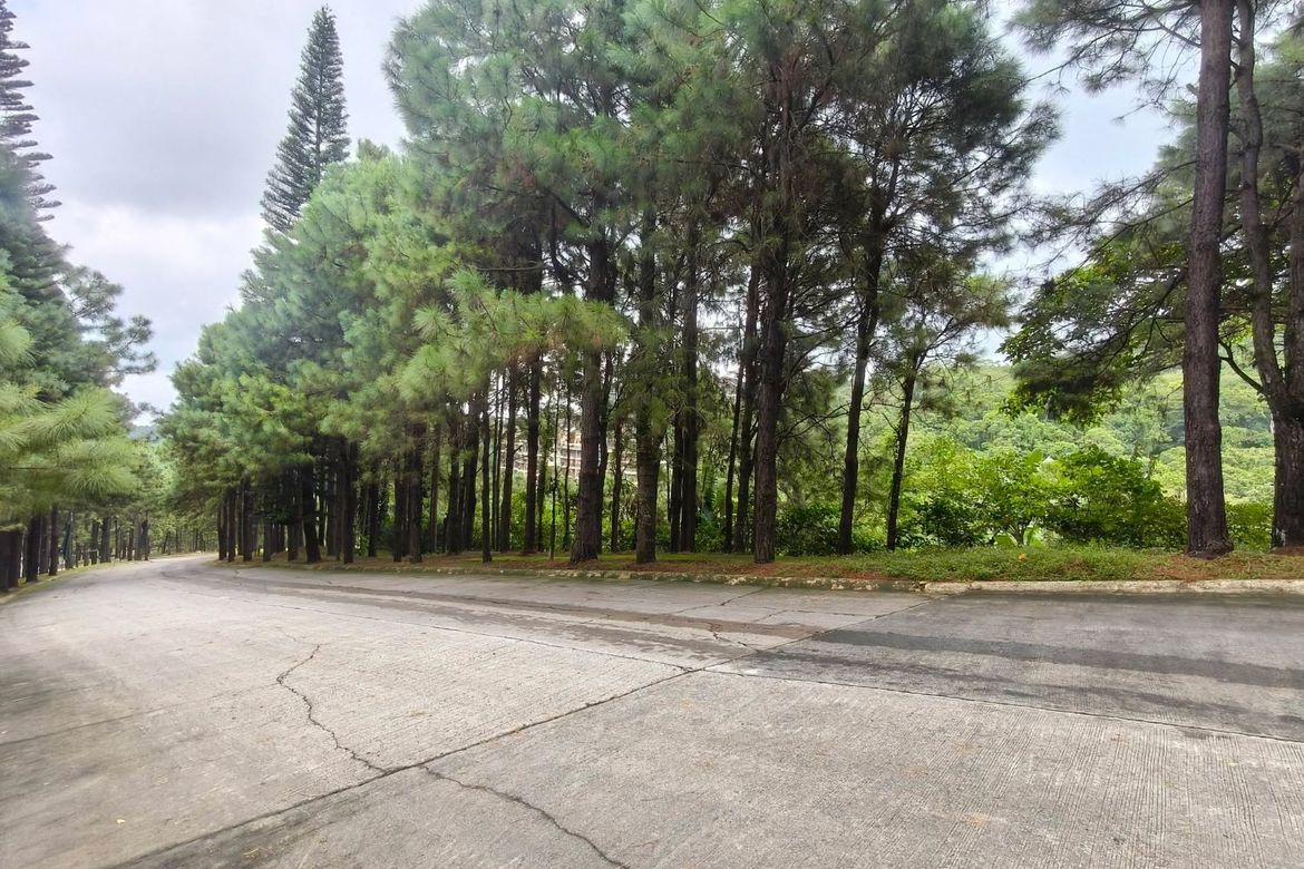 Land for Sale in Iruhin South, Tagaytay, Cavite – photo 3