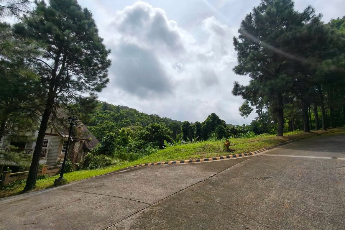 Land for Sale in Iruhin South, Tagaytay, Cavite – photo 6