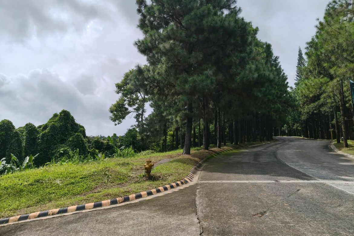 Land for Sale in Iruhin South, Tagaytay, Cavite – photo 7