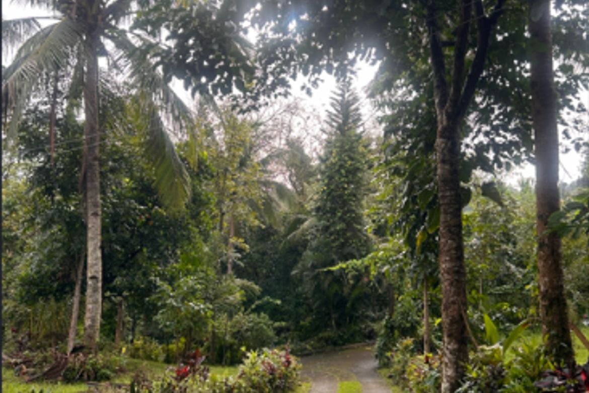 Land for Sale in Iruhin West, Tagaytay, Cavite – photo 3