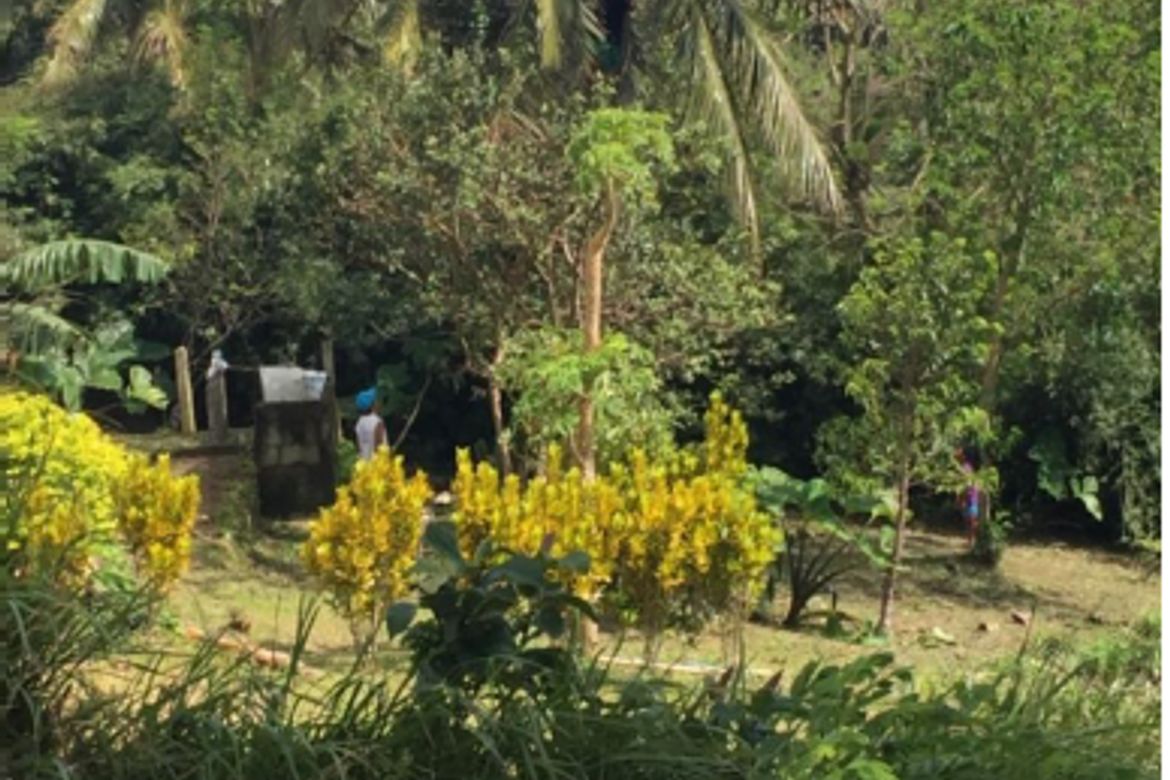 Land for Sale in Iruhin West, Tagaytay, Cavite – photo 2