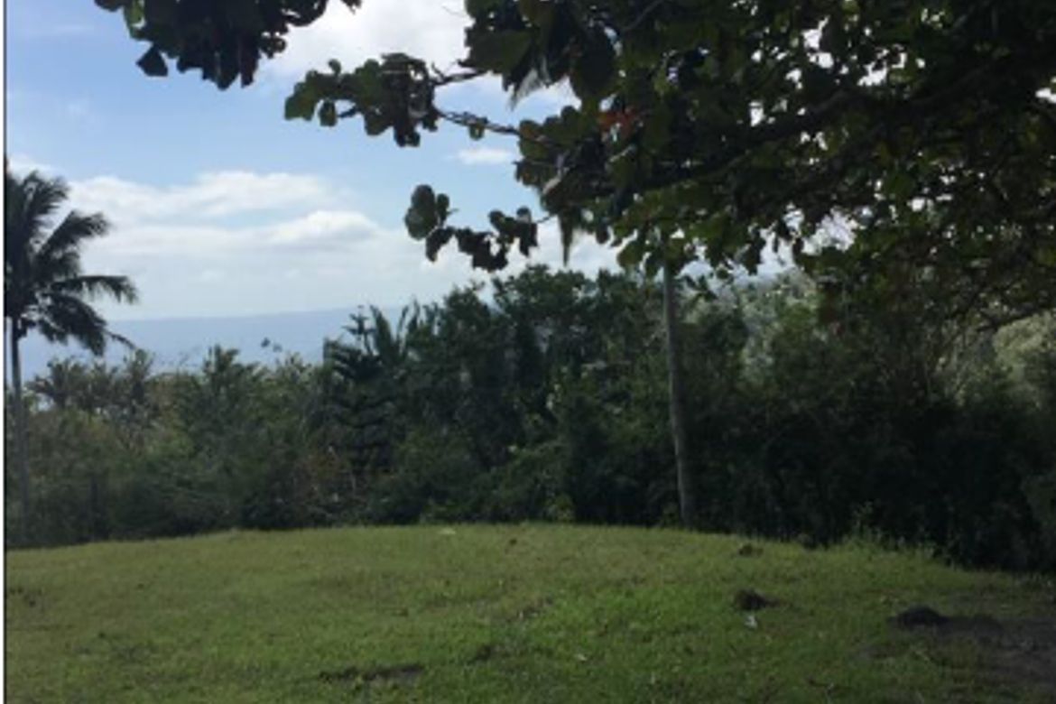 Land for Sale in Iruhin West, Tagaytay, Cavite – photo 3