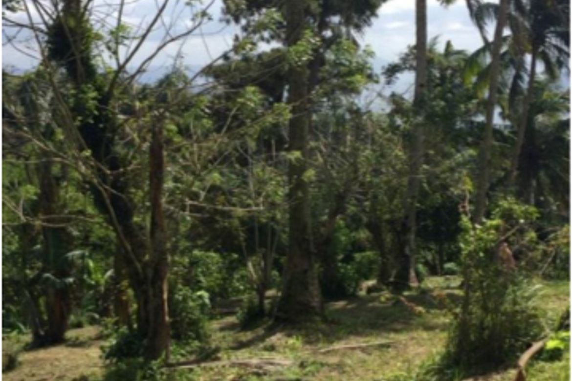 Land for Sale in Iruhin West, Tagaytay, Cavite – photo 5