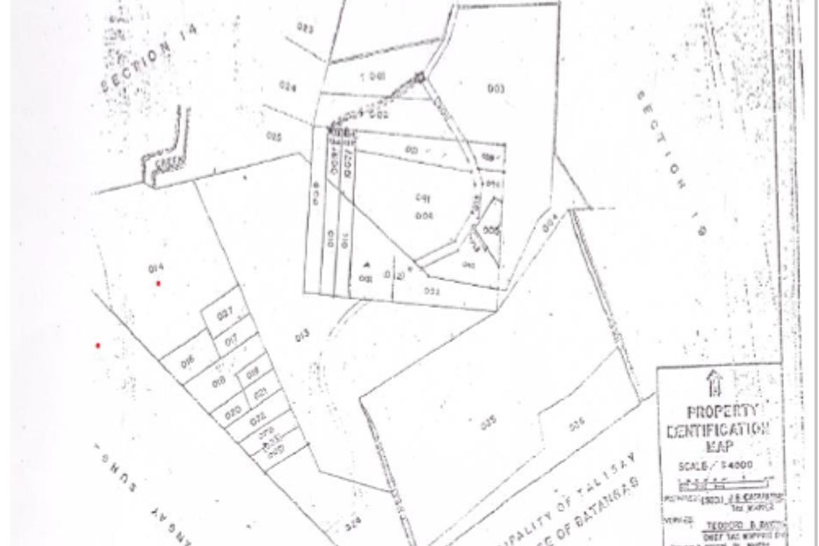 Land for Sale in Iruhin West, Tagaytay, Cavite – photo 8