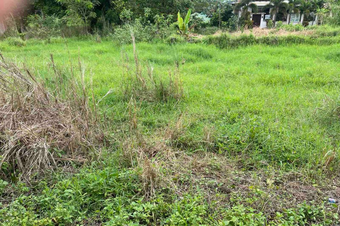 Land for Sale in Iruhin West, Tagaytay, Cavite