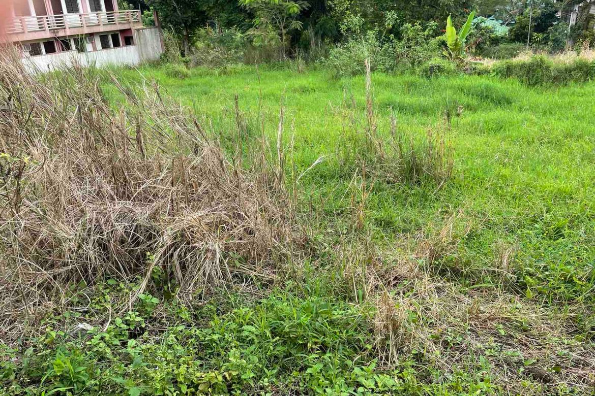 Land for Sale in Iruhin West, Tagaytay, Cavite – photo 2