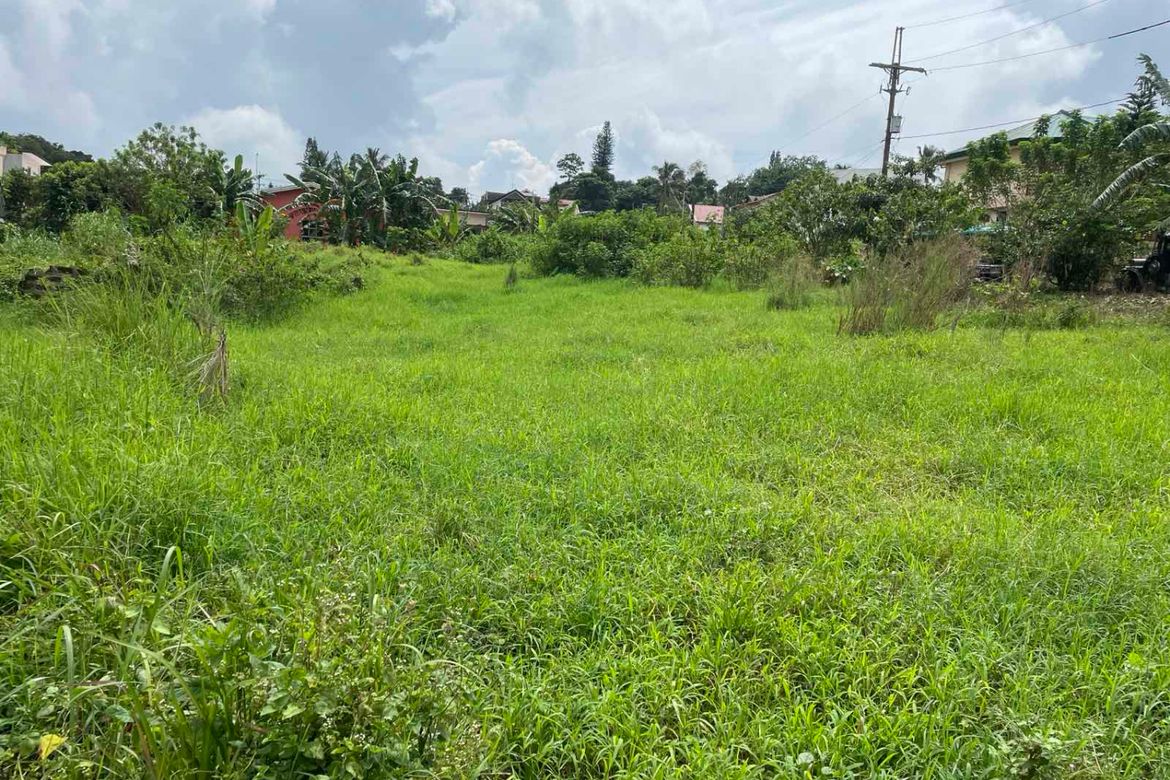 Land for Sale in Iruhin West, Tagaytay, Cavite – photo 3