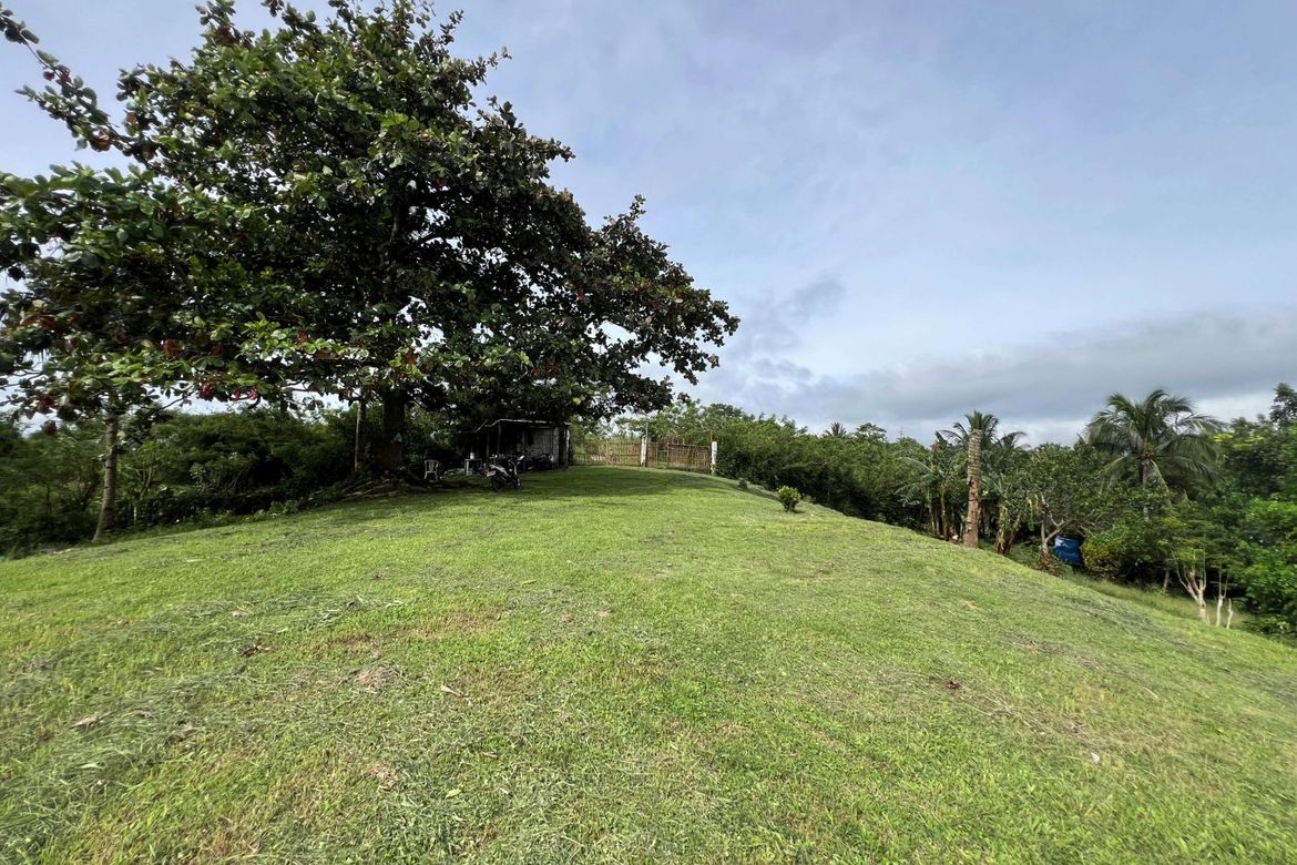 Land for Sale in Iruhin West, Tagaytay, Cavite – photo 8