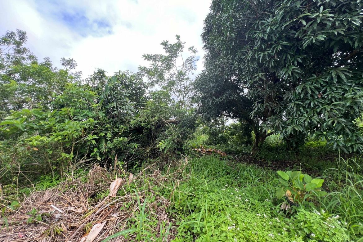 Land for Sale in Iruhin West, Tagaytay, Cavite – photo 3