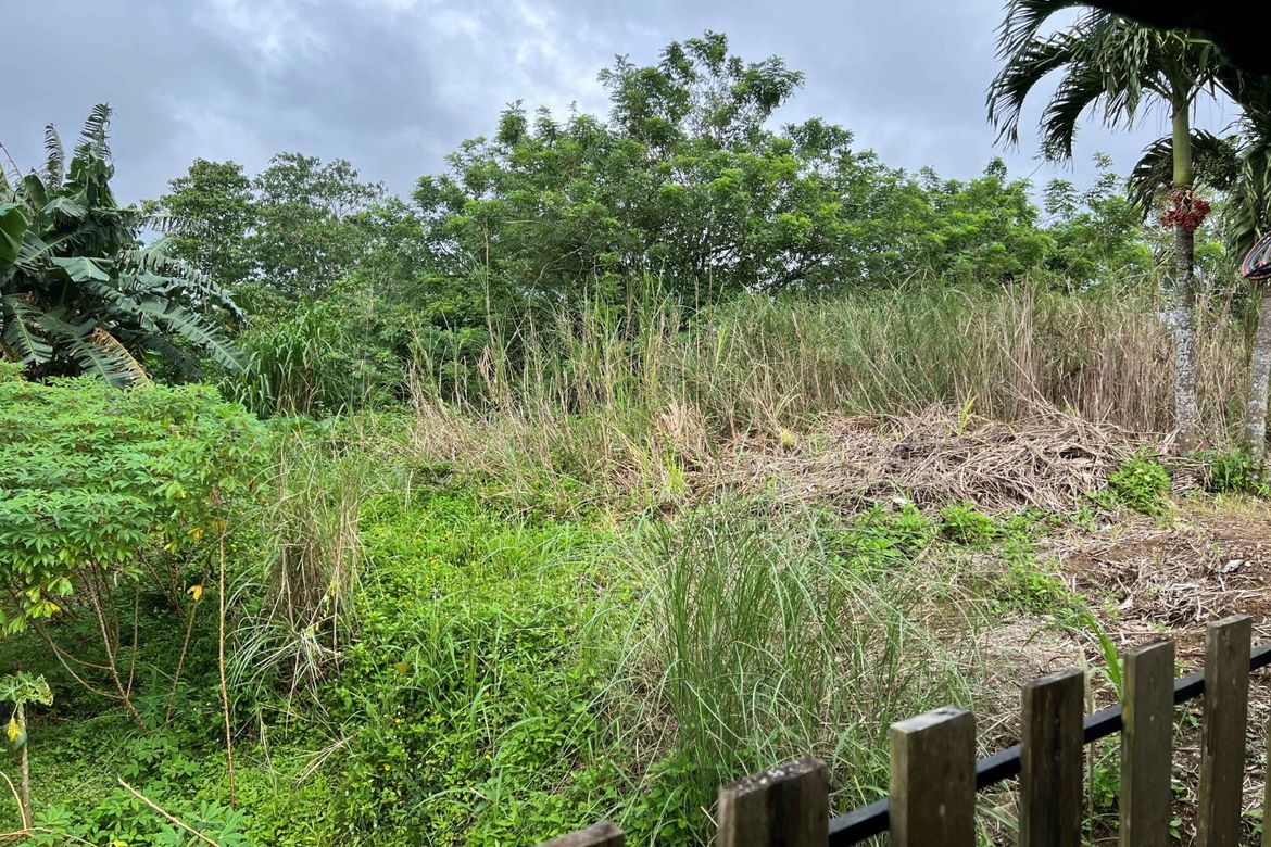 Land for Sale in Iruhin West, Tagaytay, Cavite – photo 6