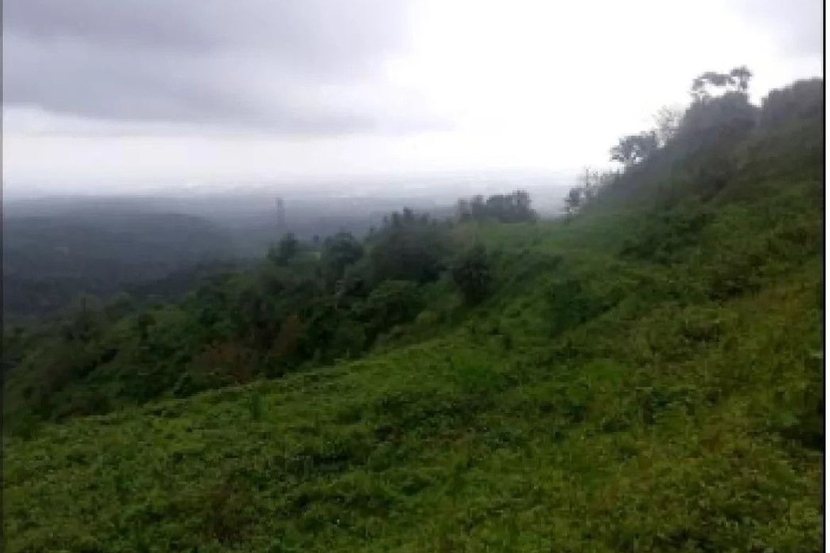 Land for Sale in Iruhin West, Tagaytay, Cavite – photo 3