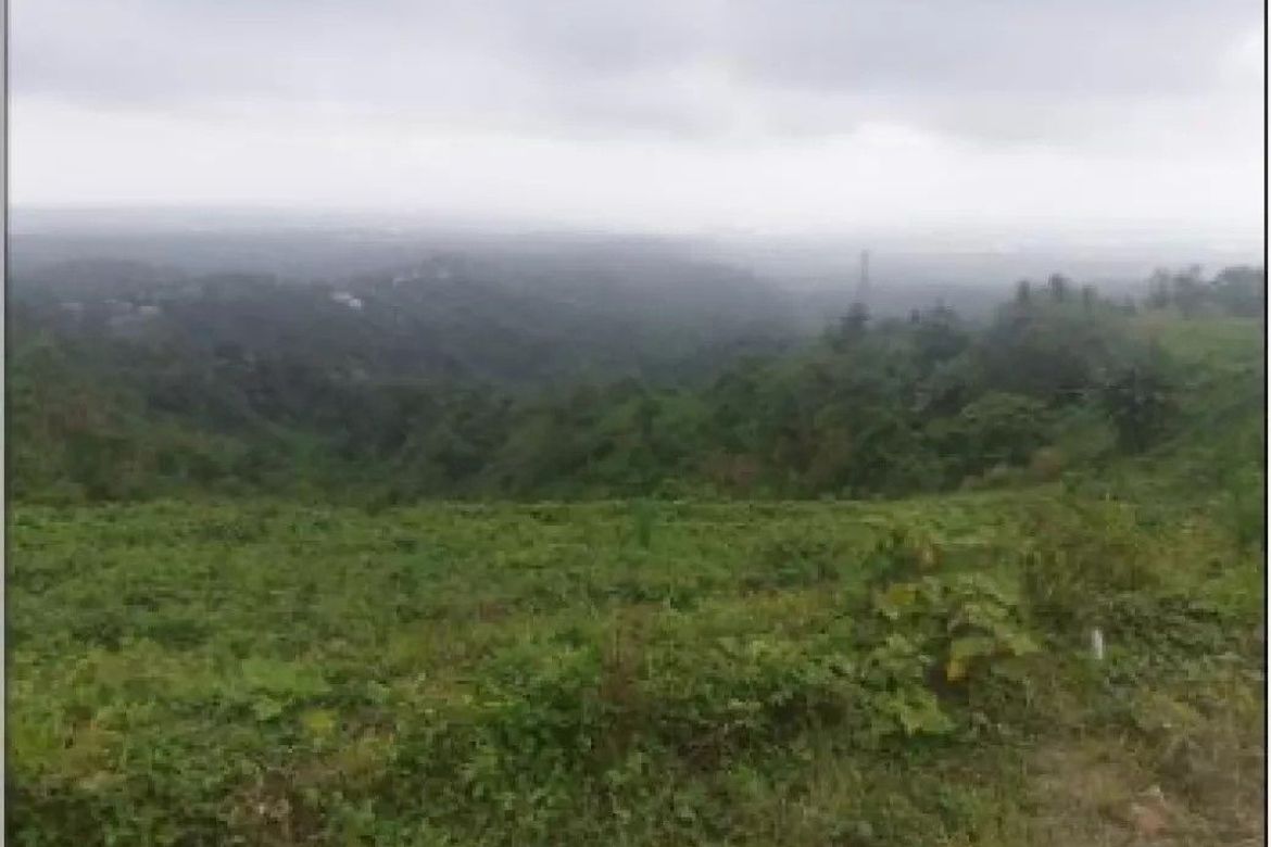 Land for Sale in Iruhin West, Tagaytay, Cavite – photo 5