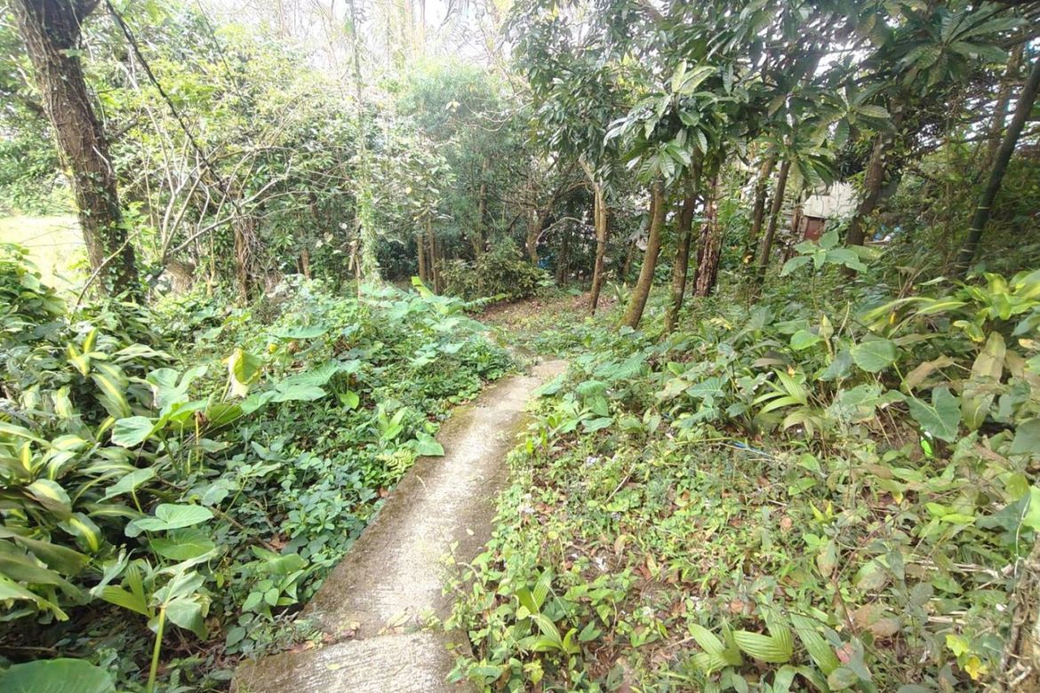 Land for Sale in Iruhin West, Tagaytay, Cavite – photo 5