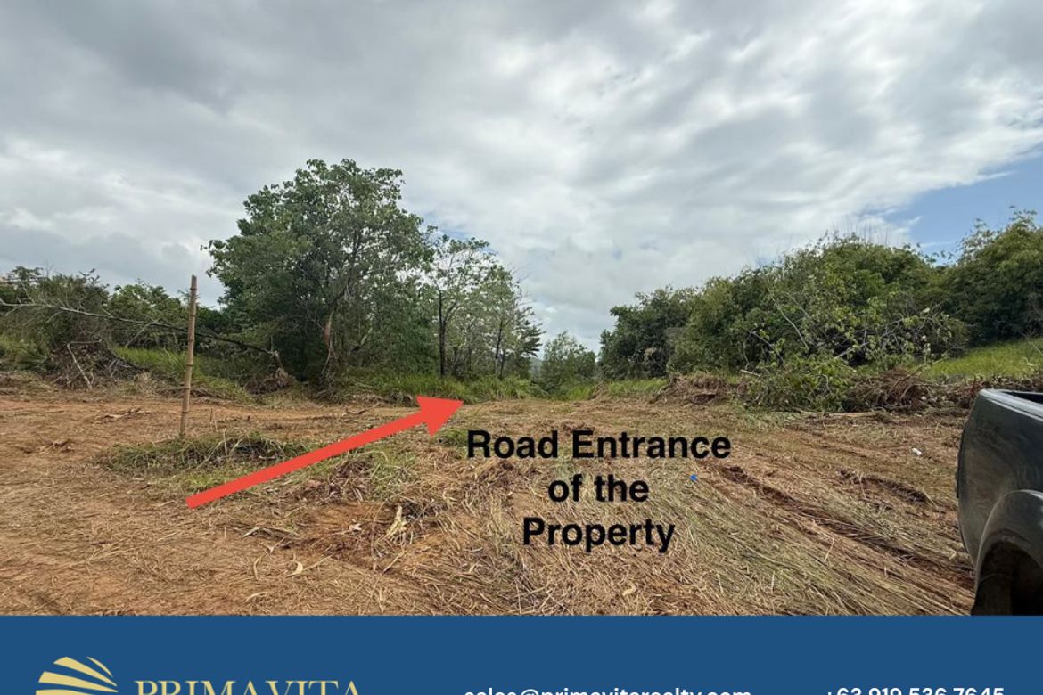 Land for Sale in Isaub, Aborlan, Palawan – photo 3