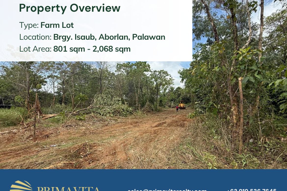 Land for Sale in Isaub, Aborlan, Palawan – photo 8