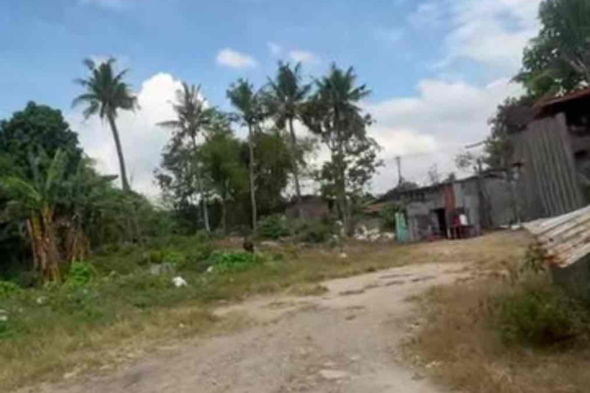 Land for Sale in Jagobiao, Mandaue, Cebu – photo 2
