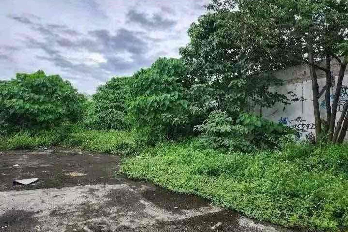 Land for Sale in Jagobiao, Mandaue, Cebu – photo 2