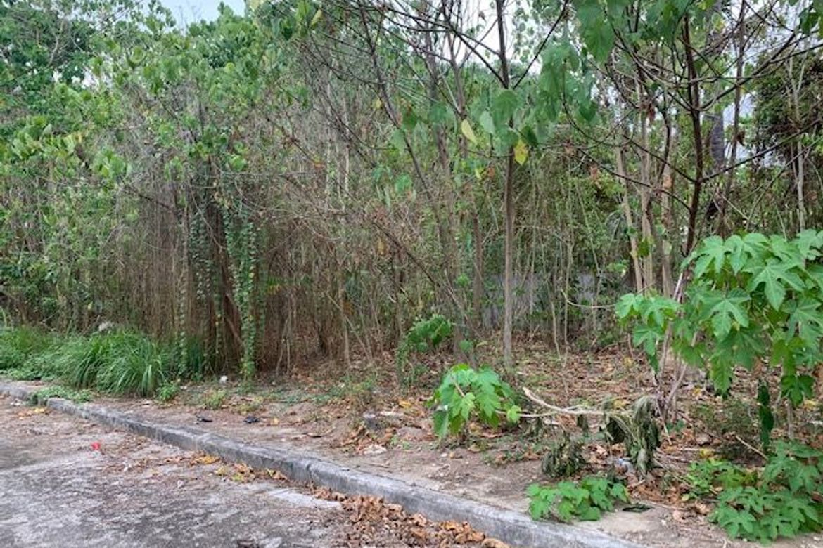 Land for Sale in Jagobiao, Mandaue, Cebu