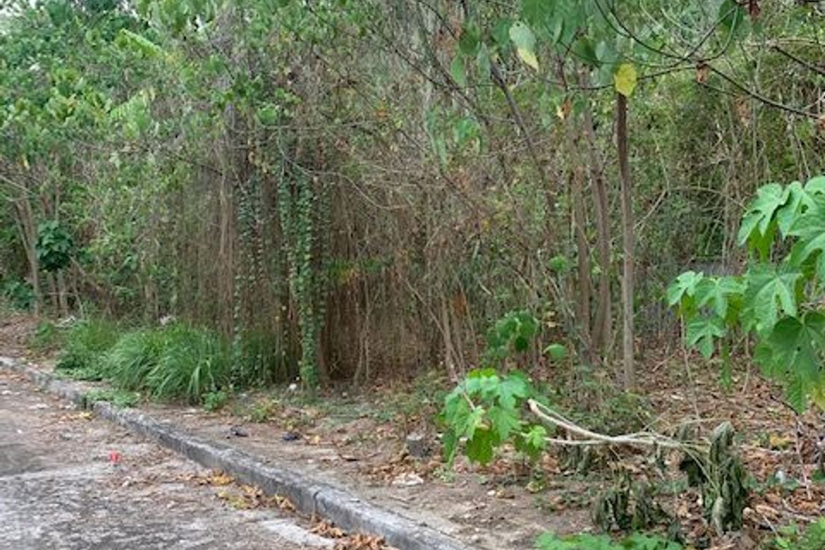 Land for Sale in Jagobiao, Mandaue, Cebu – photo 2
