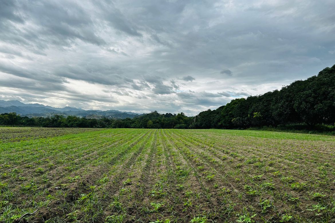 Land for Sale in Jalung, Porac, Pampanga – photo 2