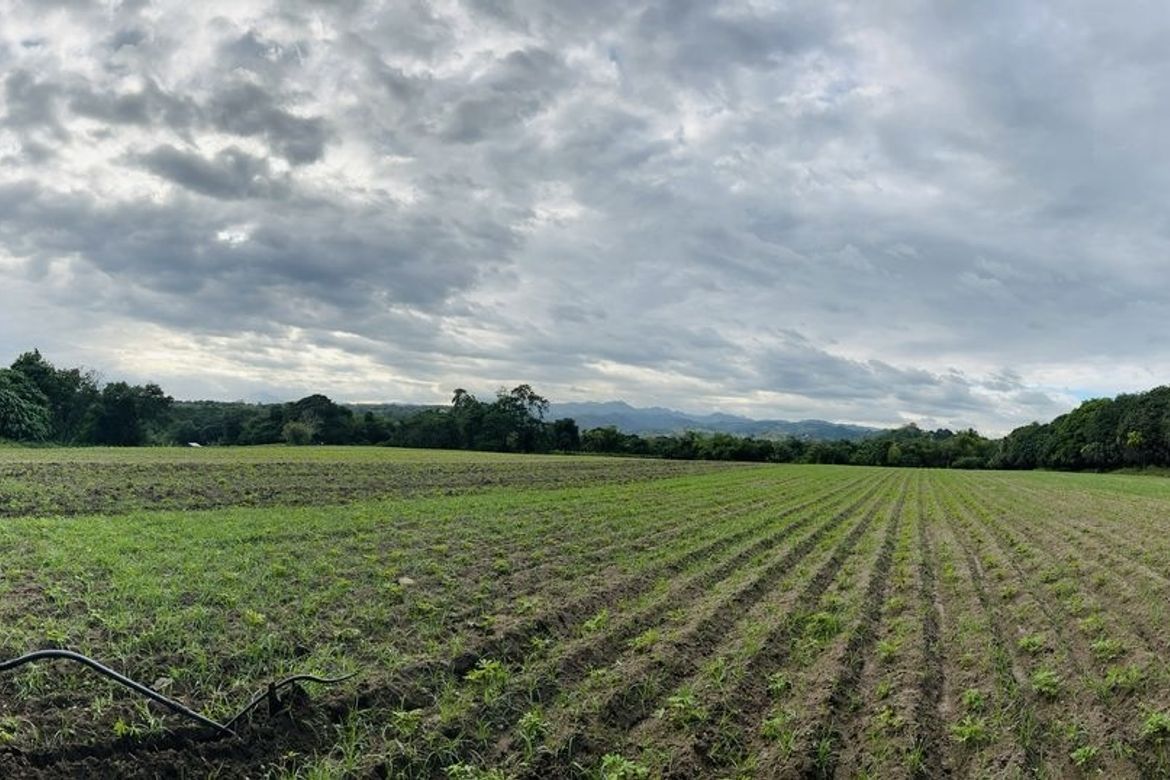 Land for Sale in Jalung, Porac, Pampanga – photo 3
