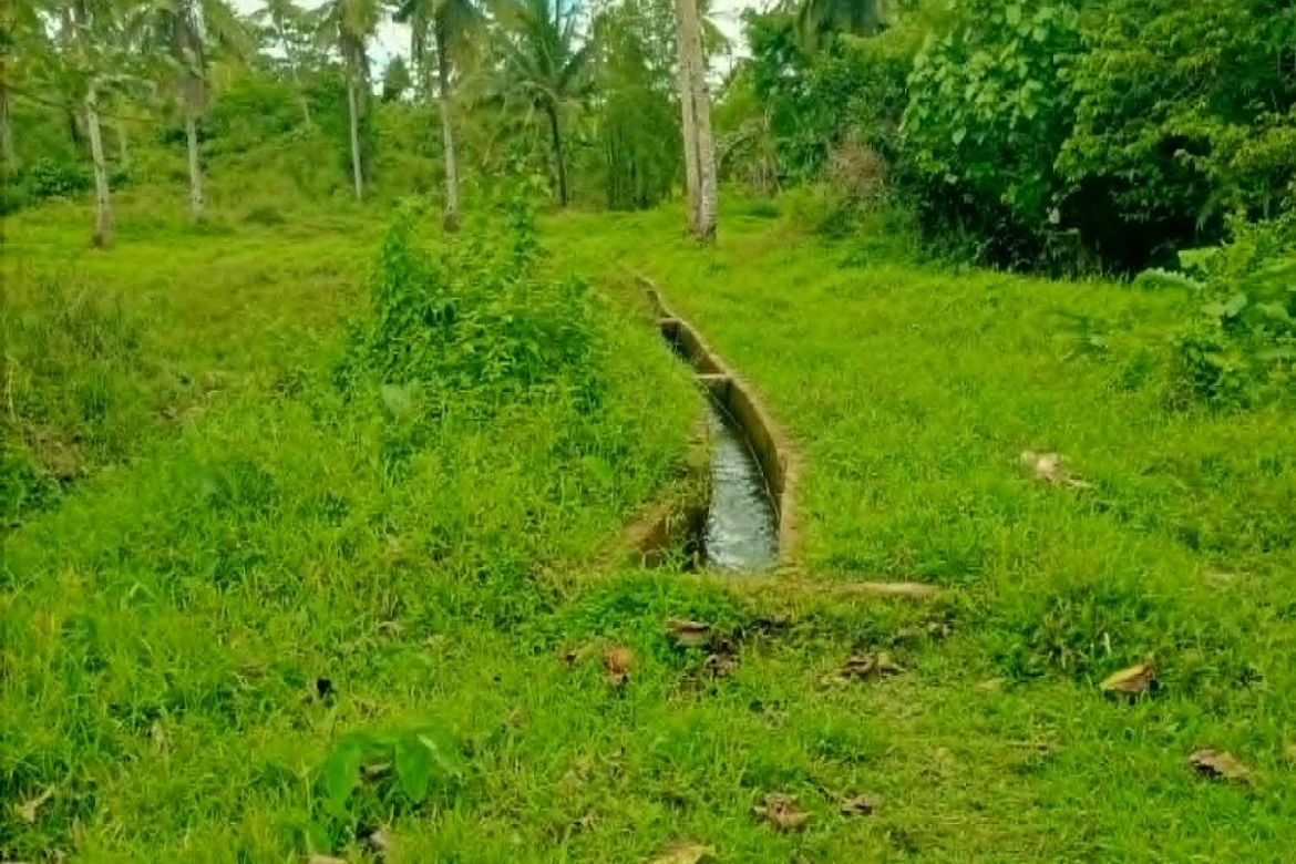 Land for Sale in Jamoyaon, Del Carmen, Surigao del Norte