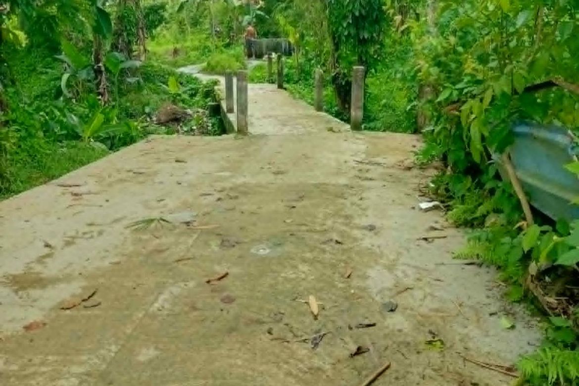 Land for Sale in Jamoyaon, Del Carmen, Surigao del Norte – photo 2