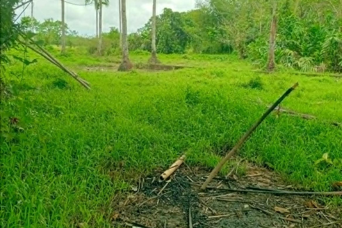 Land for Sale in Jamoyaon, Del Carmen, Surigao del Norte – photo 3