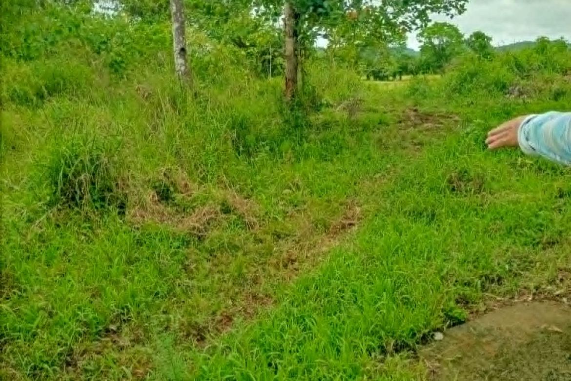 Land for Sale in Jamoyaon, Del Carmen, Surigao del Norte – photo 7