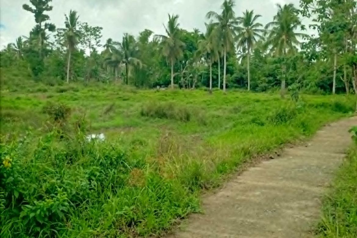 Land for Sale in Jamoyaon, Del Carmen, Surigao del Norte – photo 8