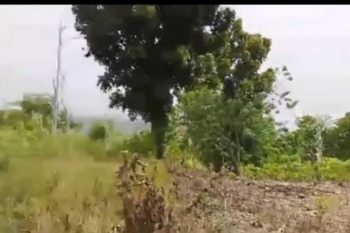 Land for Sale in Janlud, Batuan, Bohol – photo 2