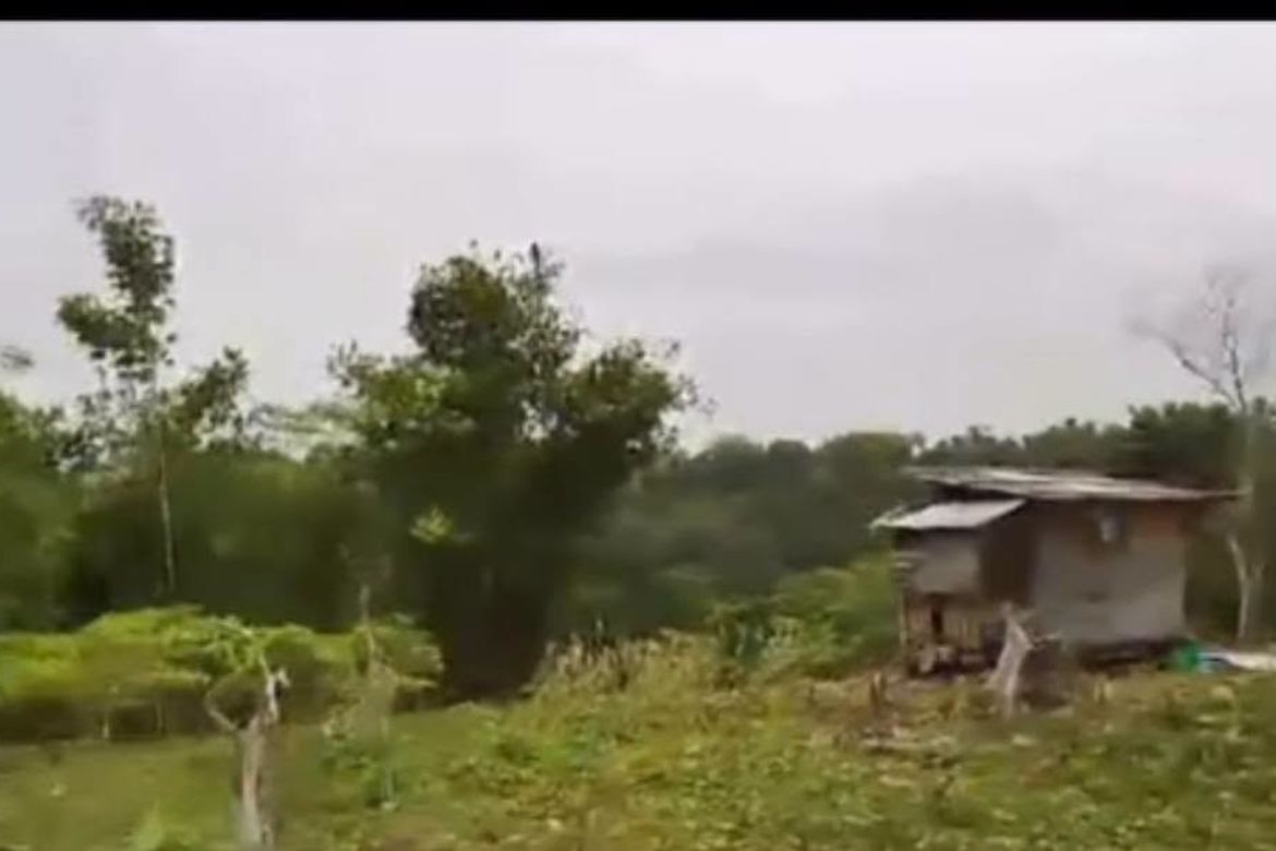 Land for Sale in Janlud, Batuan, Bohol – photo 3