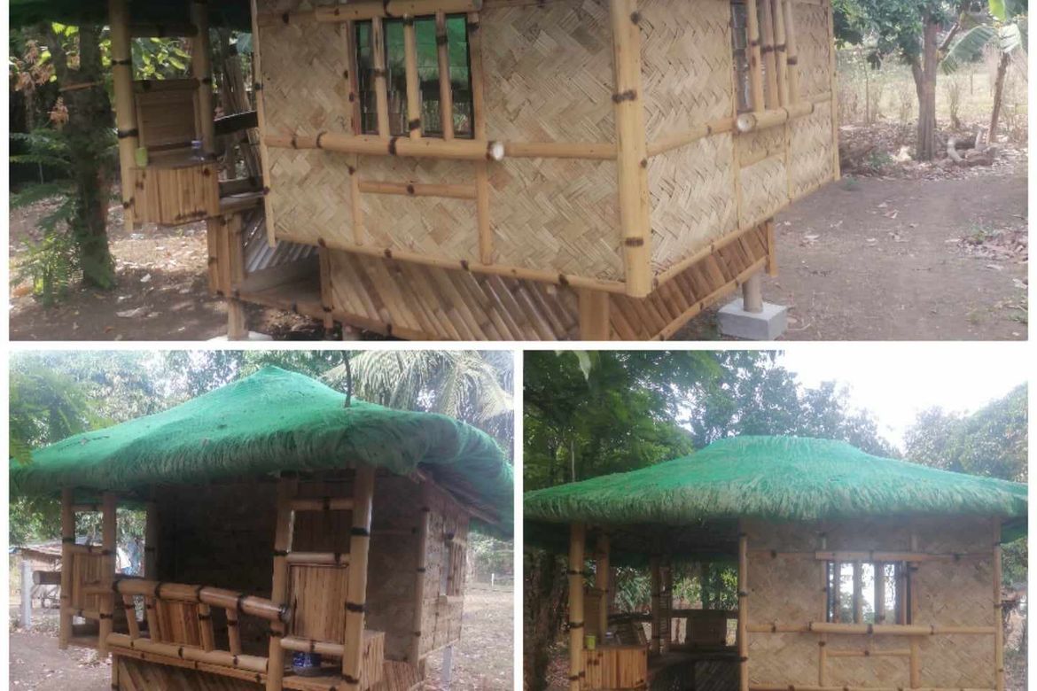 Land for Sale in Janopol Oriental, Tanauan, Batangas – photo 3