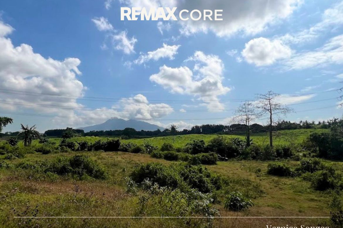 Land for Sale in Janopol Oriental, Tanauan, Batangas – photo 2
