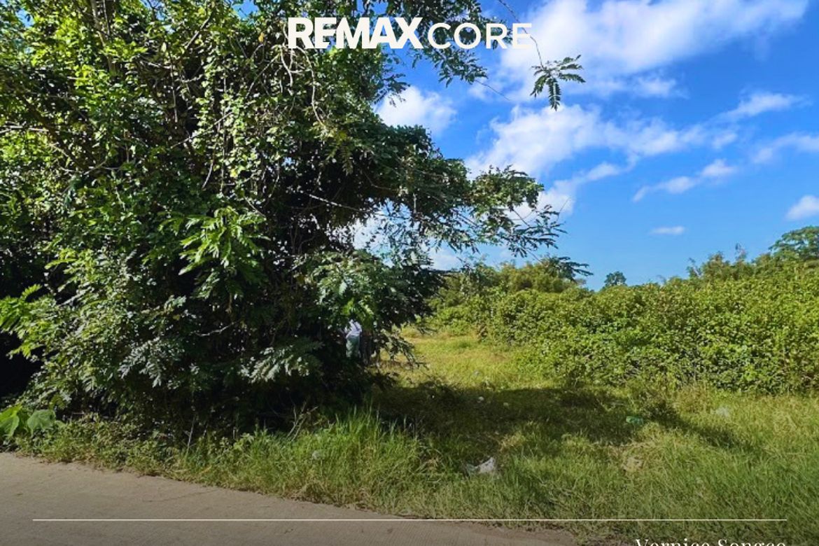 Land for Sale in Janopol Oriental, Tanauan, Batangas – photo 3