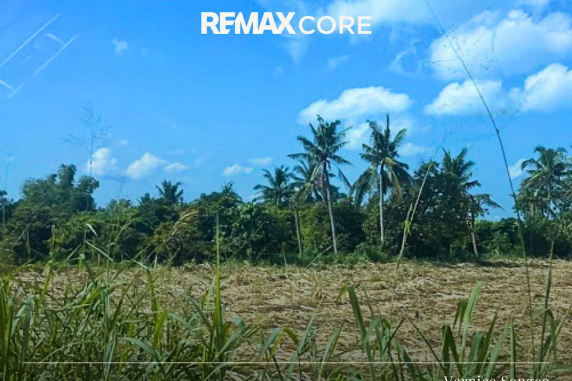 Land for Sale in Janopol Oriental, Tanauan, Batangas – photo 4