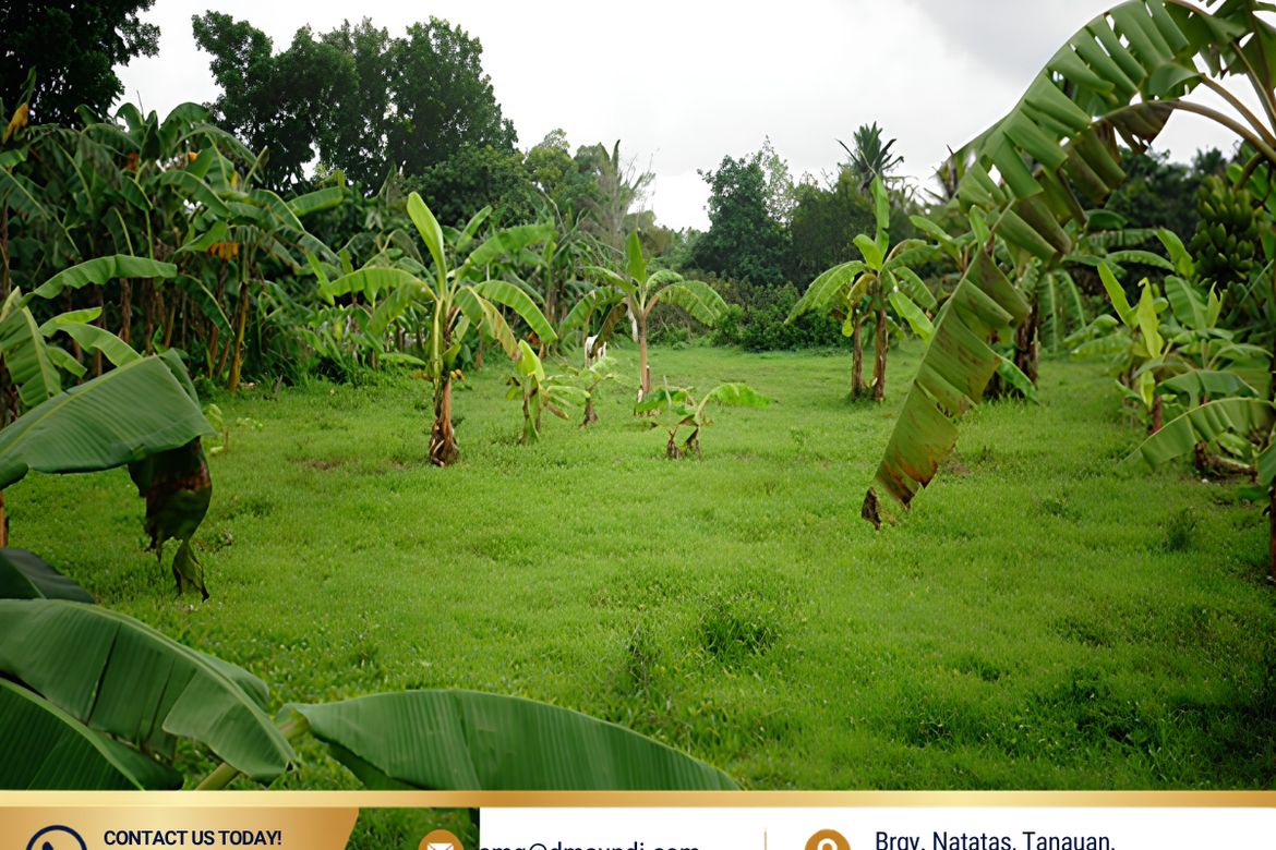 Land for Sale in Janopol Oriental, Tanauan, Batangas – photo 2