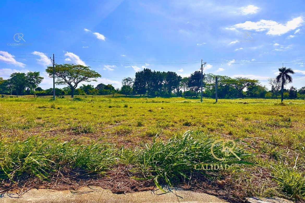 Land for Sale in Javalera, General Trias, Cavite – photo 2