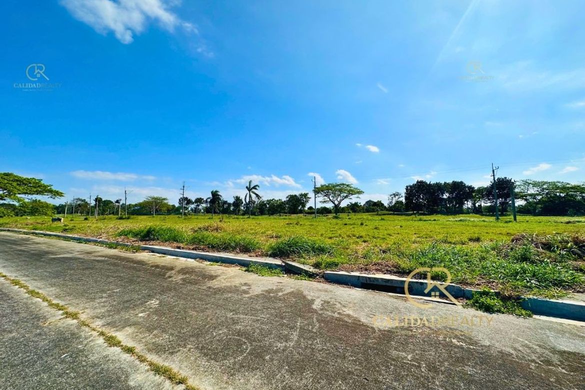 Land for Sale in Javalera, General Trias, Cavite – photo 5