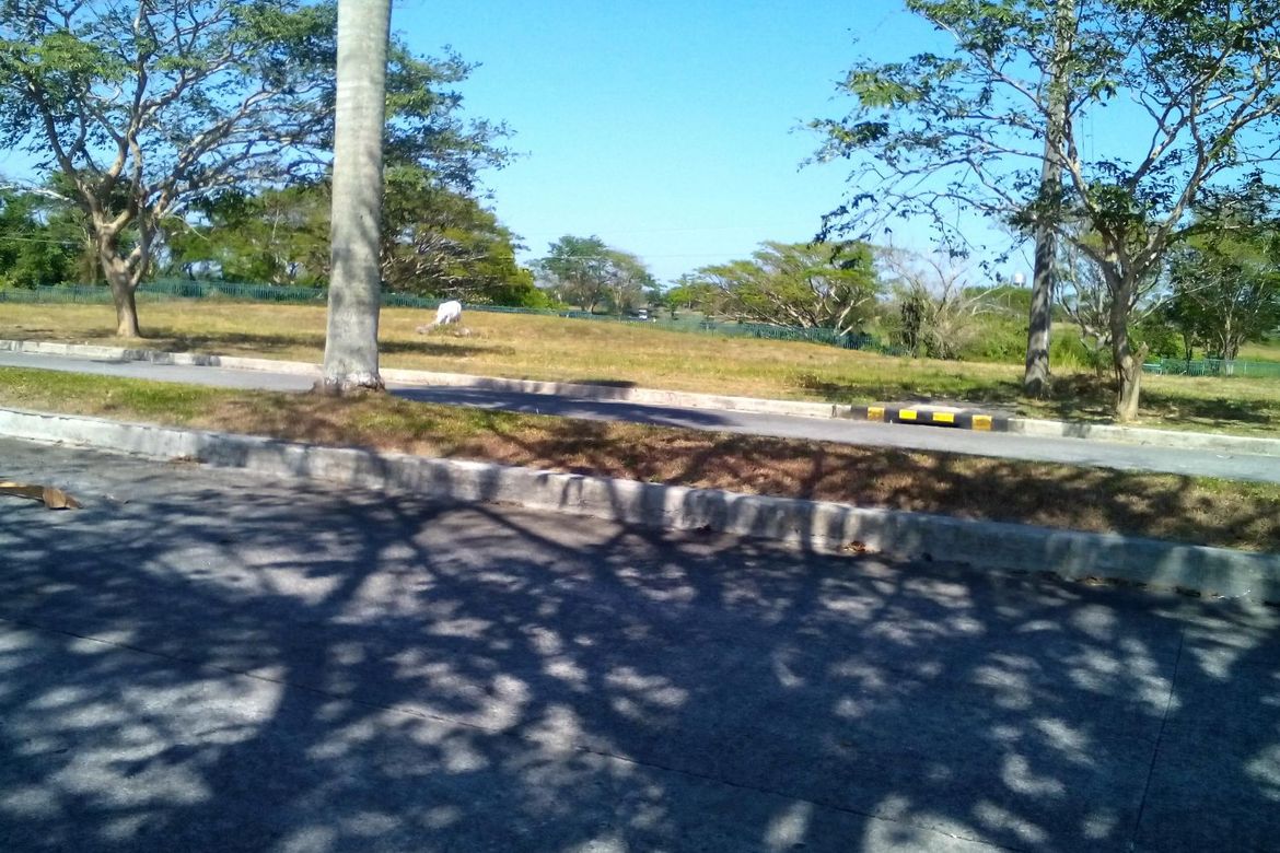 Land for Sale in Javalera, General Trias, Cavite – photo 2
