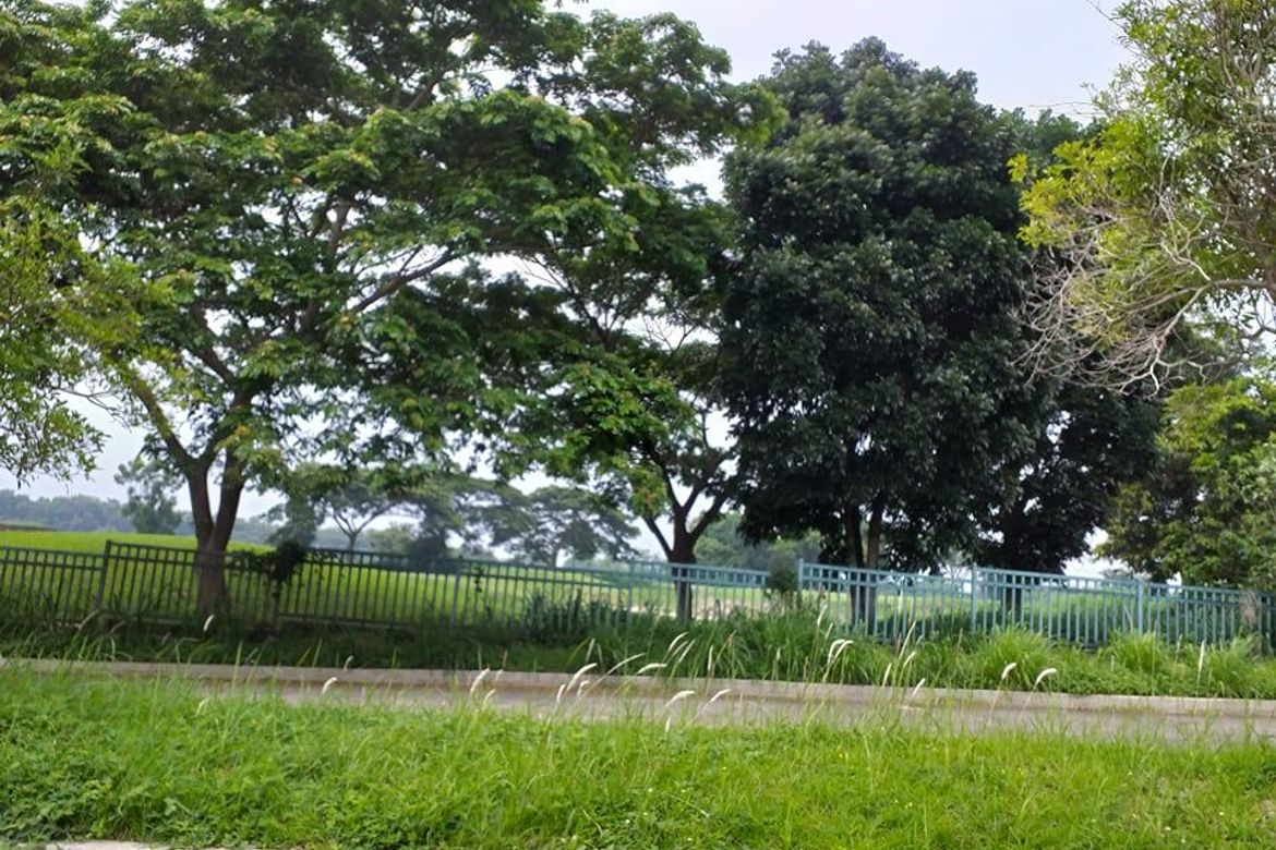 Land for Sale in Javalera, General Trias, Cavite – photo 3