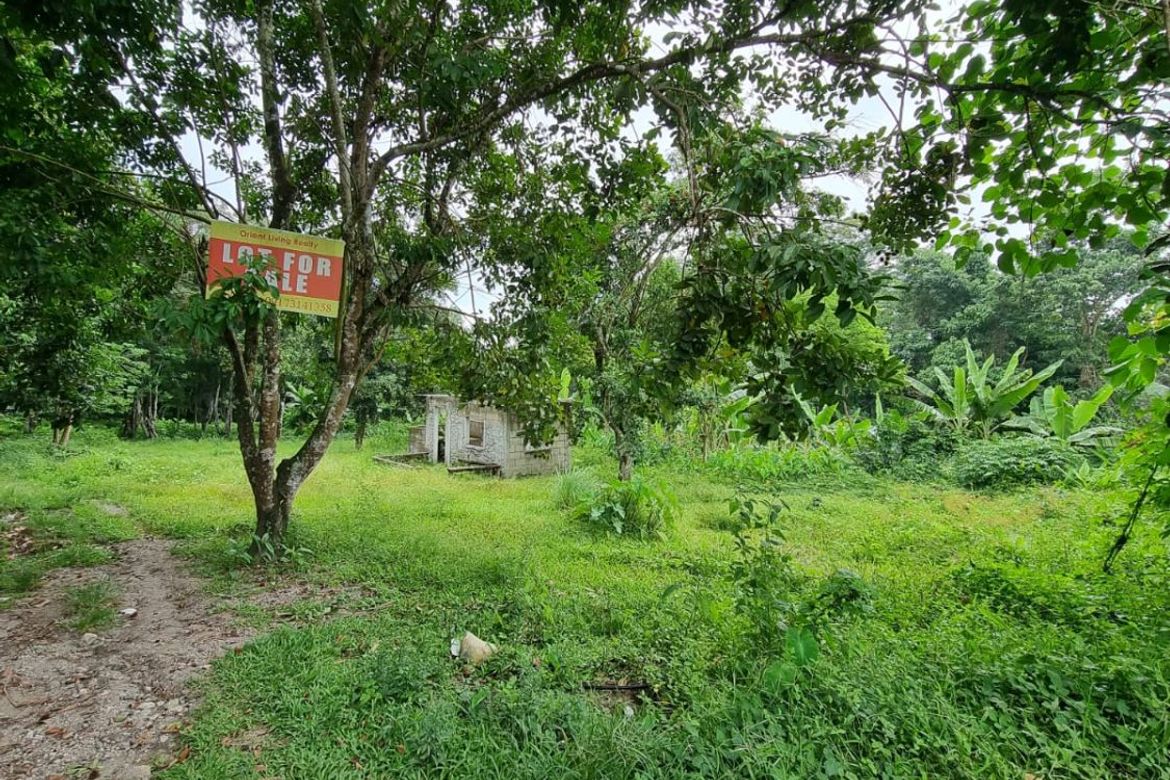 Land for Sale in Jawa, Valencia, Negros Oriental – photo 2