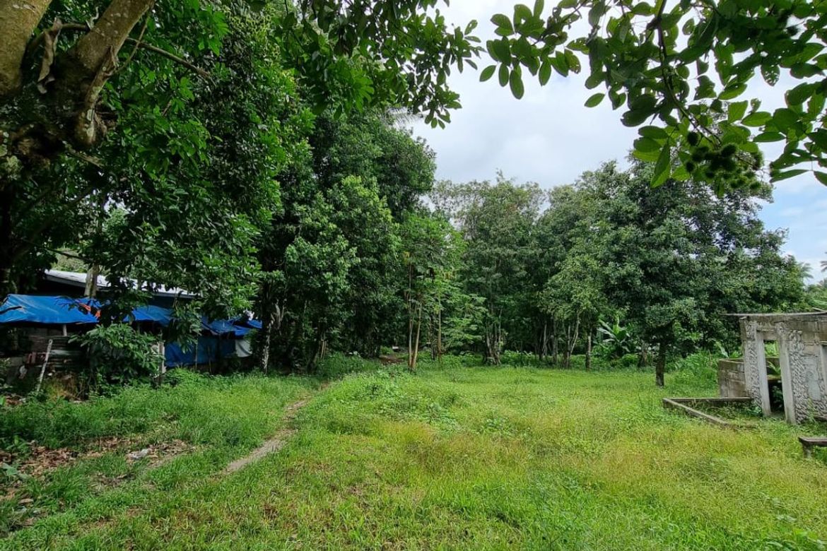 Land for Sale in Jawa, Valencia, Negros Oriental – photo 3