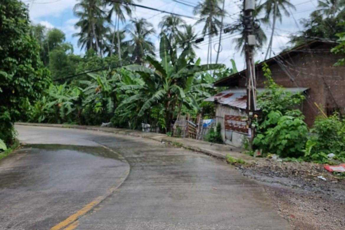 Land for Sale in Jawa, Valencia, Negros Oriental – photo 8