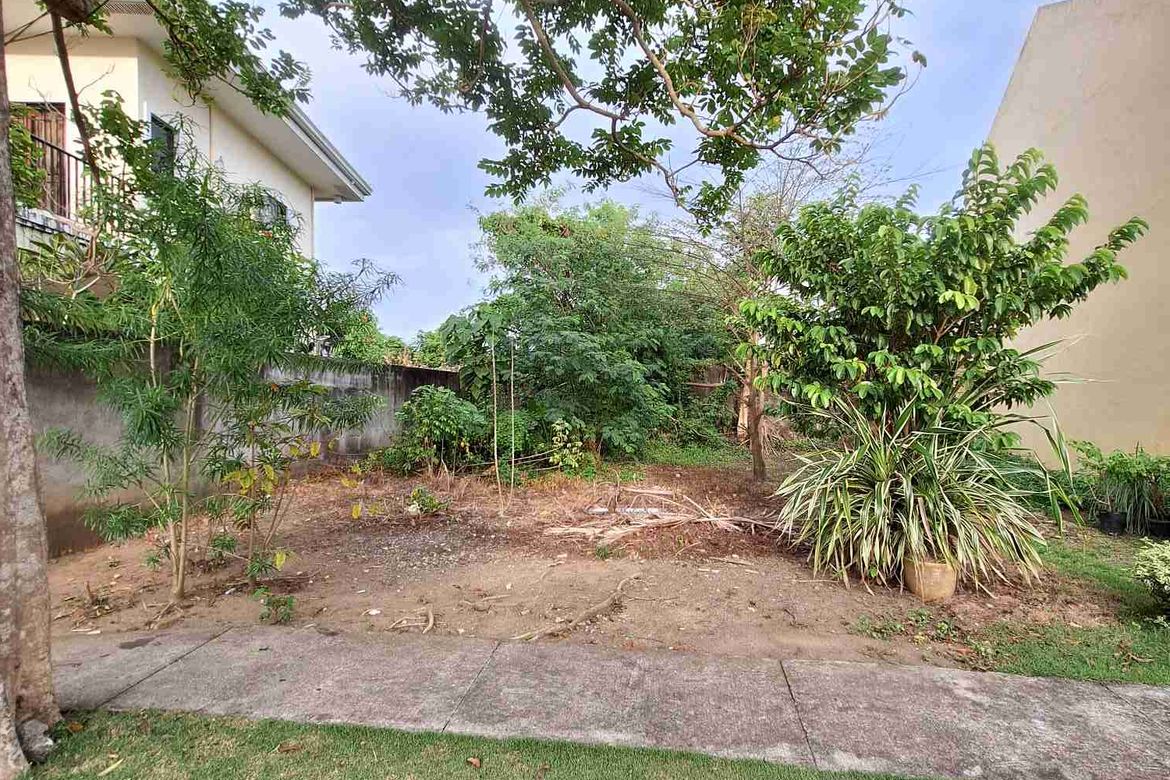 Land for Sale in Jibao-An, Pavia, Iloilo